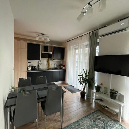 קרקוב Rakowicka Apartment - City Center מראה חיצוני תמונה